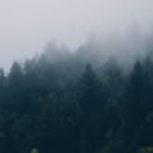 Meet your Posher, Kieran